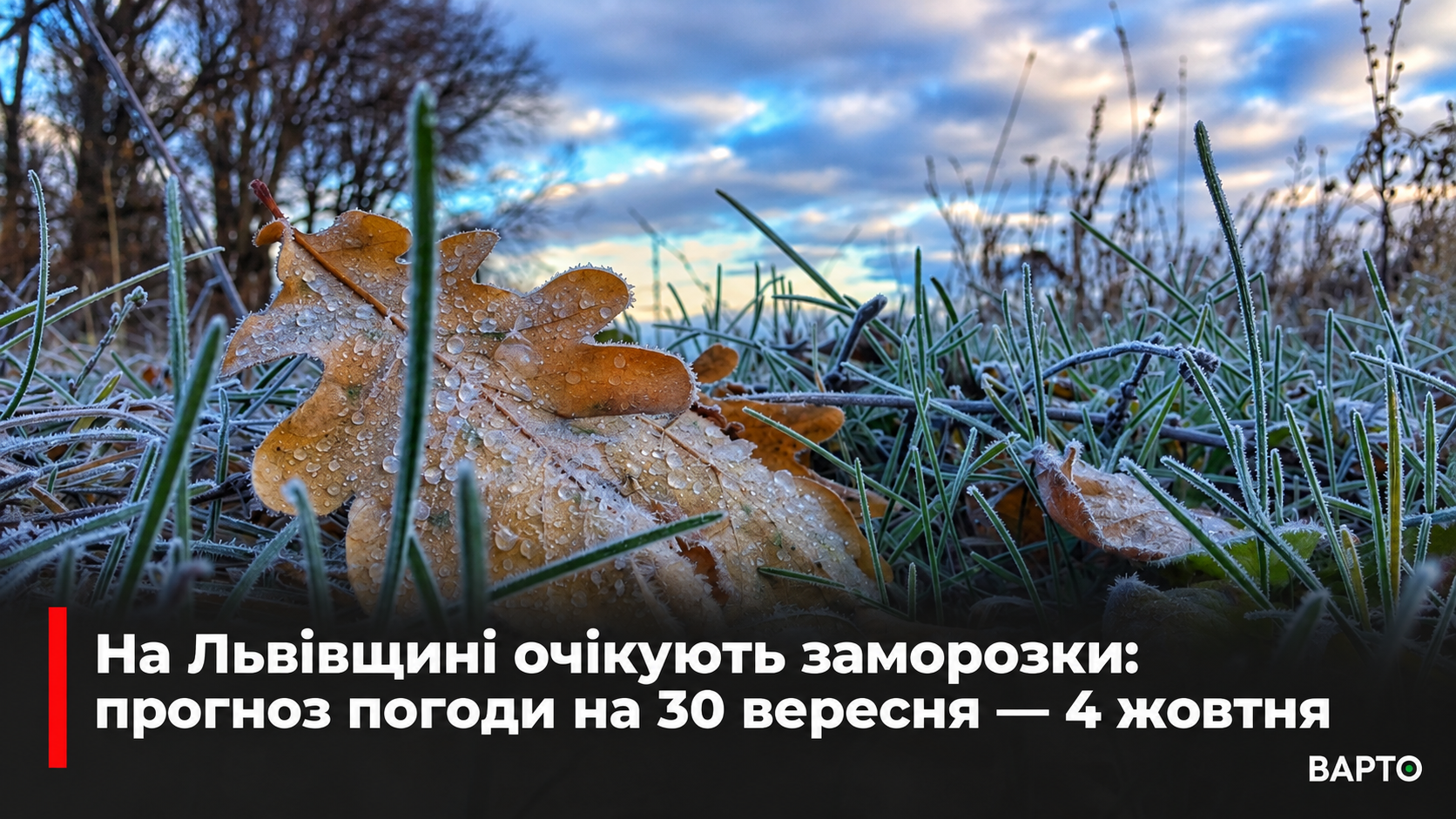 ChatGPT-Image-29-вер.-2026-р.-17_13_27.png