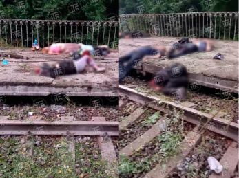 Не встигли на останній поїзд: 8 людей загинули на залізничній станції у Броварському районі