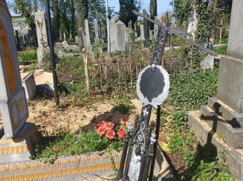 Варвари з бензопилами руйнують кладовище на Трускавецькій