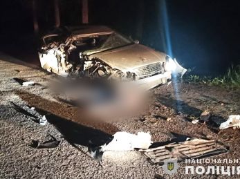 На Дрогобиччині сталася смертельна ДТП. П’яний водій “Мерседеса” влетів у дерево