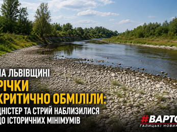 На Львівщині річки критично обміліли: Дністер та Стрий наблизилися до історичних мінімумів