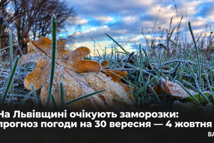ChatGPT-Image-29-вер.-2026-р.-17_13_27.png