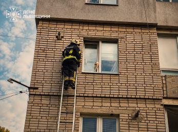 У Трускавці рятувальники допомогли котику вибратися зі скрутної ситуації